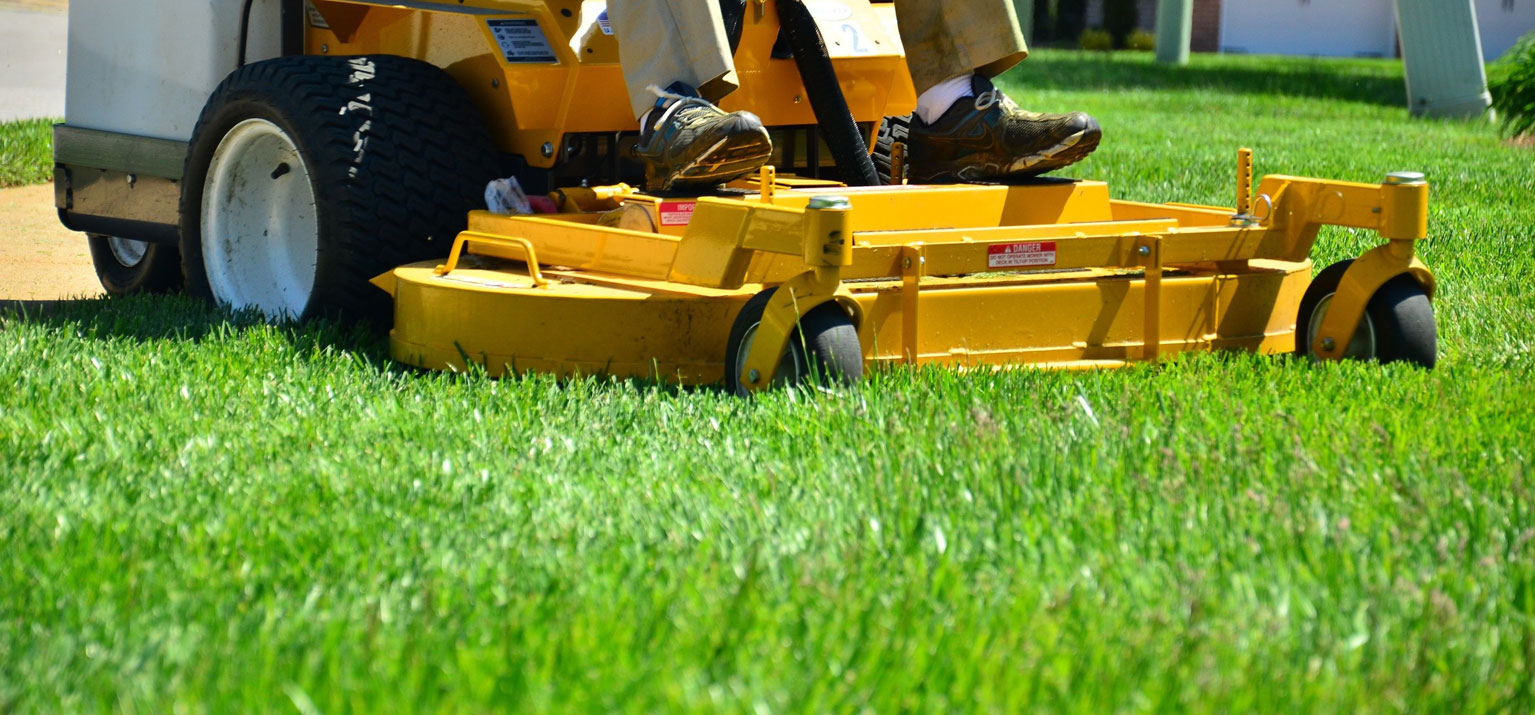 Cape Coral Lawn Service